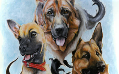RETRATO PASTORES ALEMANES